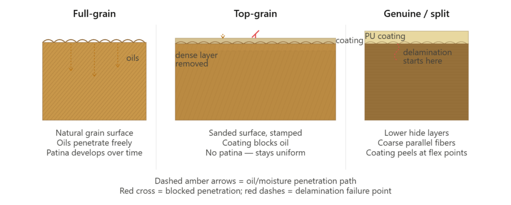 Diagram comparing full grain and top grain leather types and qualities.