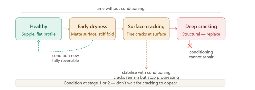Four-stage leather degradation timeline showing conditioning reverses early stages but cannot repair deep fold cracking