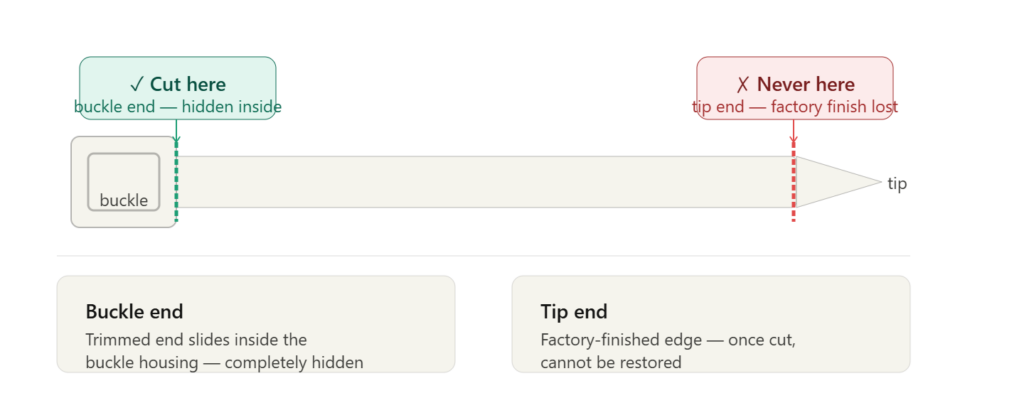 Where to cut: The buckle-end vs tip-end diagram — the most important single piece of information in the article. Green for correct, red for wrong, with the hidden-inside-buckle explanation below.