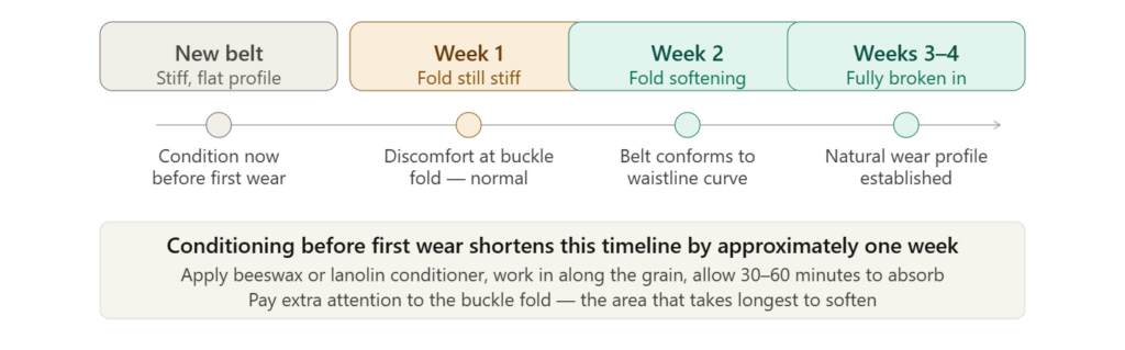 Four-stage leather belt break-in timeline from stiff new belt through weeks one and two to fully broken in at weeks three to four with conditioning shortcut note